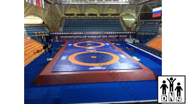 Помост для борцовских ковров