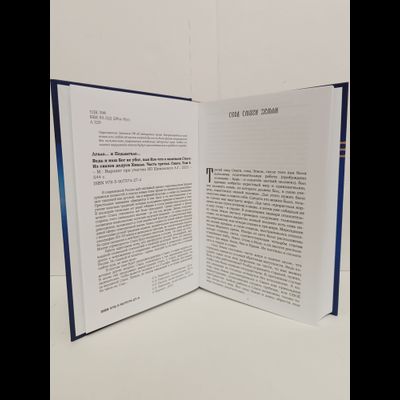 Лгало... и Подлыгало. Ведь и наш Бог не убог, или Кое-что о казачьем Спасе. Том 6.