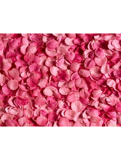 ROSE PETAL 7757 base PFW / Роза лепестки база