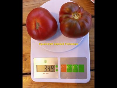 Томат Черный крымский Голицина