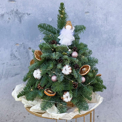 Хвойный лес