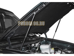 Амортизаторы капота, 2 шт. АвтоУпор для UAZ Patriot I / I рестайлинг / I рестайлинг 2 / I рестайлинг 3 2005-2012 / 2012-2014 / 2014-2