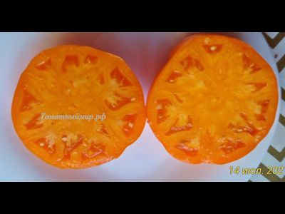 Томат Джамбо Джим оранжевый (Jumbo Jim Orange)