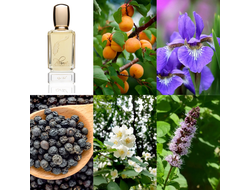 Plume Impression Que Tal