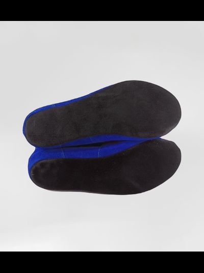 Борцовки для самбо ВФС BRAVEGARD Ascend сине-красные