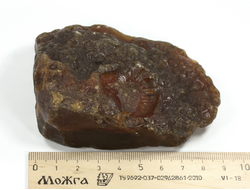 Сердолик, необработанный "дикий" образец, Амурская область, р.Зея (92*70*36 мм, 290 г) №35465