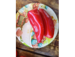 Перец сладкий Хорват