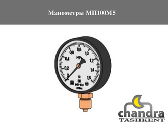 Манометры МП100М5