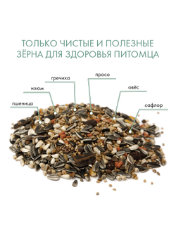 Fiory (Фиори) Parrocchetti African корм для средних попугаев, 800 г