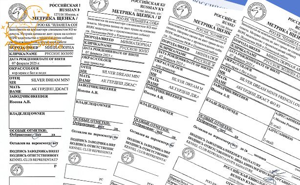 Актировка mas А-2025