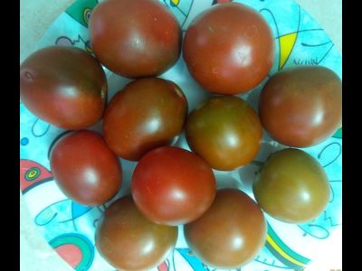 Томат Словенский черный  (Slovenian Black) США