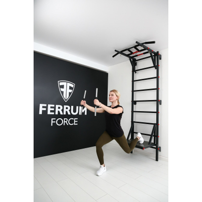 Шведская стенка Ferrum Force FR7 купить в Воронеже