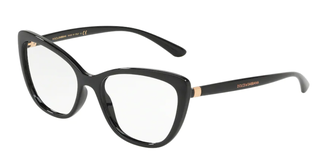 DOLCE&GABBANA 0DG5039 501