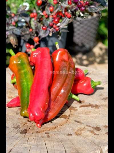 Перец сладкий Тронторолло, 10 шт