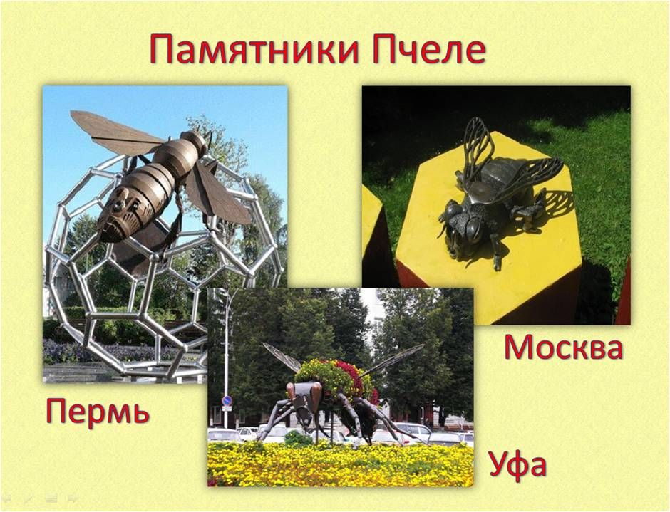 Пчела в москве