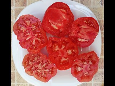 Томат Тлаколула де Матаморос