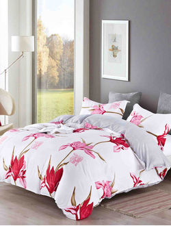 Постельное белье TANGO Dream Fly микросатин семейное 160x210x2 220x245x1 70x70x2 DF05-258-70