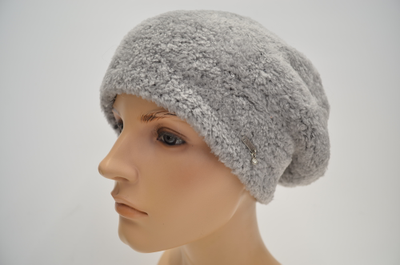 Визио 1716 берет Италия