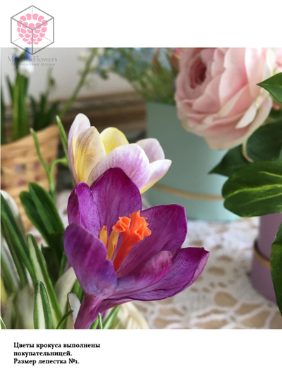 Набор вайнеров и каттеров "Крокус"