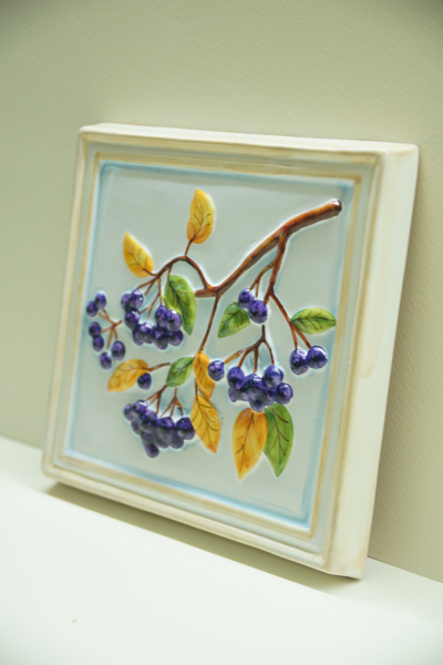 Черноплодная рябина