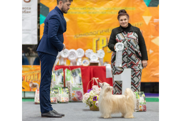 9 Группа FCI / BEST IN GROUP 9 FCI:   1 место КИТАЙСКАЯ ХОХЛАТАЯ СОБАКА - ILORY OVERCOMING NICE (PUFF)