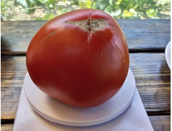 Томат Сердце Хибы (Imini de Hiba), Румыния