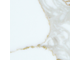 Calacatta Golden 802 Детали