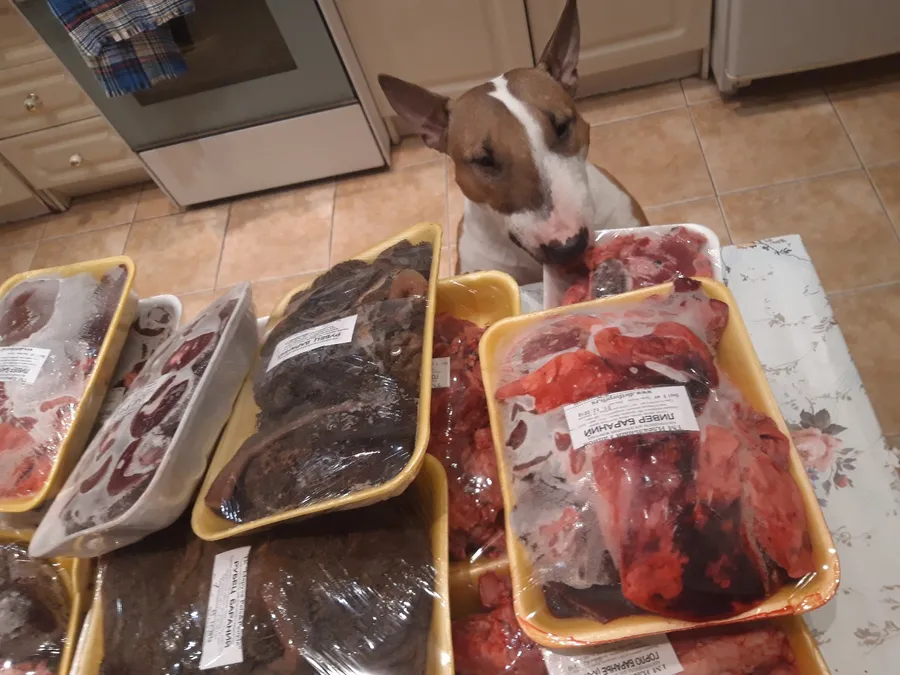 Хозяйка Светлана:"Спасибо за мяско 