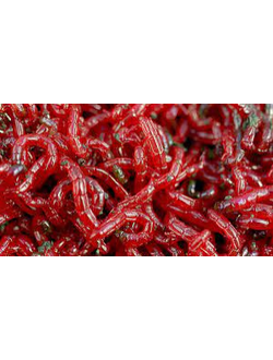 Мотыль средний (Галич), 0,5 кг