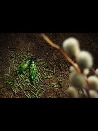 Комплект фарфоровых украшений "Лесная принцесса"