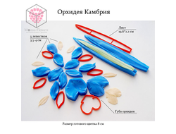 "Орхидея Камбрия" набор вайнеров и каттеров