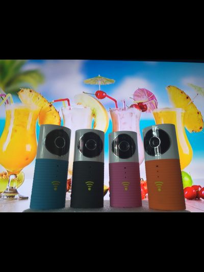 Видеоняня /WiFi видеокамера CleverDog с DVR