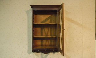 Полка навесная одностворчатая со стеклом.