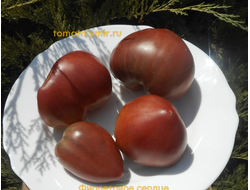 Томат Гном Фиолетовое Сердце (Dwarf Purple Heart )