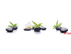 SP-254 Глянцевая стеновая панель ALBICO  2800*610*6мм.