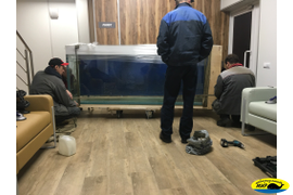 ПЕРЕВОЗКА АКВАРИУМА. ГОСТИНИЦА ДЛЯ РЫБОК.