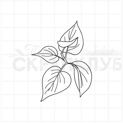 Штамп лист сирени