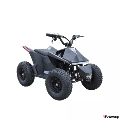 Электроквадроцикл Skyboard CyberTruck Sochi Power 1000W (дифференциальный редуктор)