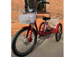 Электровелосипед трехколесный Etoro Turino Disc Pro 350