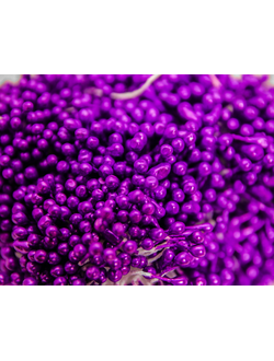 Тычинки капельки около 340 нитей , двусторонние , фиолетово-баклажановый
