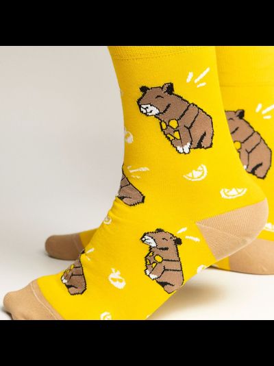 Капибарыня сикрет