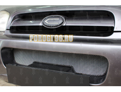 Защита радиатора Hyundai Santa Fe 2000-2006 chrome низ