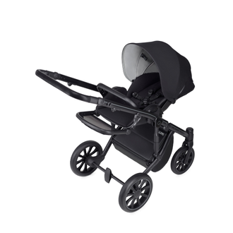 Коляска 3в1 Anex m/type Argo