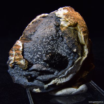 Керченит и силомелан в полости морской ракушки. 61*57*26мм