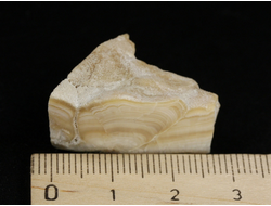 Арагонит, почковидные агрегаты, полировка, Россия, КЧР, Урупский район (30*18*16 мм, 11 г) №37734