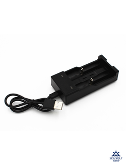 Зарядное устройство Li-Ion Charger USB 2