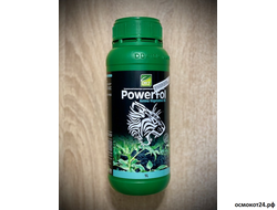 Паверфол (Спидфол) Амино Вегетативный (от 50мл до 5л)