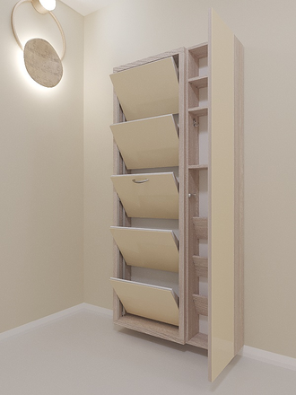 Обувница Айрон-5 Дуэт (фасад стекло капучино)