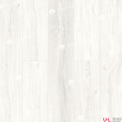 SPC ламинат Alpine Floor Intense Белый лес ECO 9-9