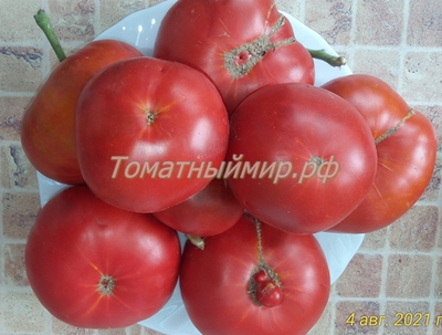 Томат Гном Кардинал Маура (Dwarf Maura’s Cardinal, США, Австралия)